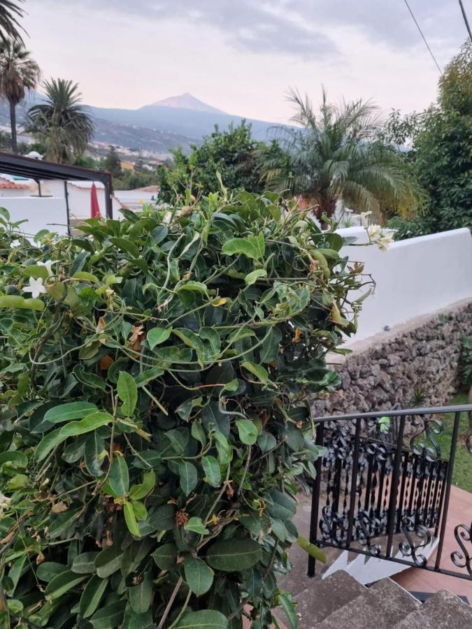 فيلا La Casa De Lucy & Karin لا أوروتافا المظهر الخارجي الصورة